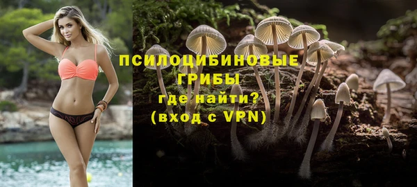 амфетамин Алексеевка